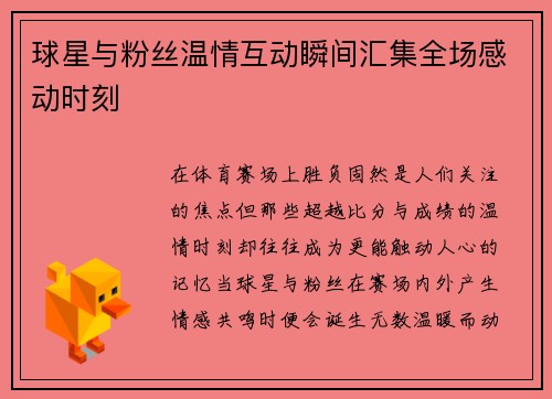 球星与粉丝温情互动瞬间汇集全场感动时刻