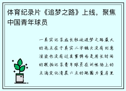 体育纪录片《追梦之路》上线，聚焦中国青年球员